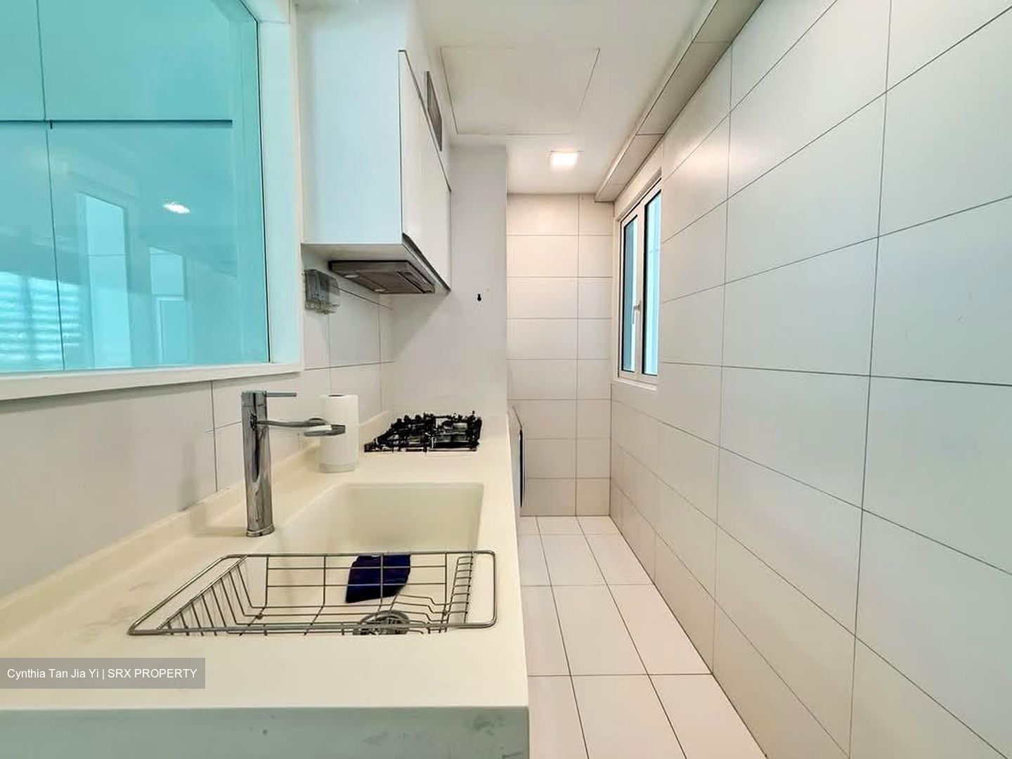 Suites At Orchard (D9), Apartment #591395481